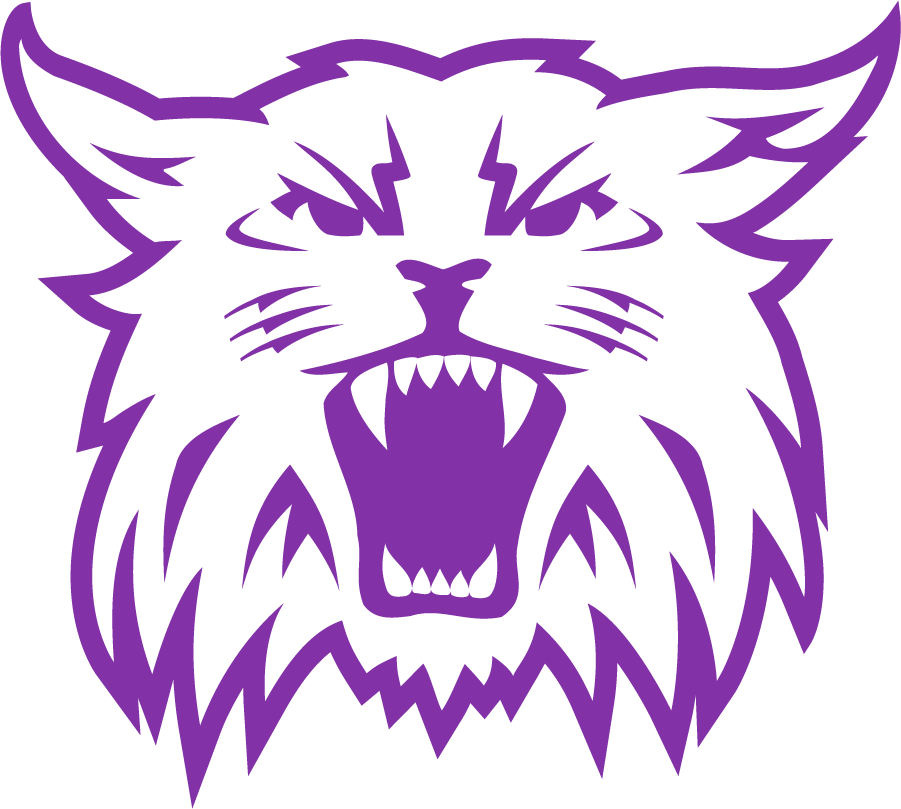 Weber State Wildcats 2008-2012 Secondary Logo diy iron on heat transfer